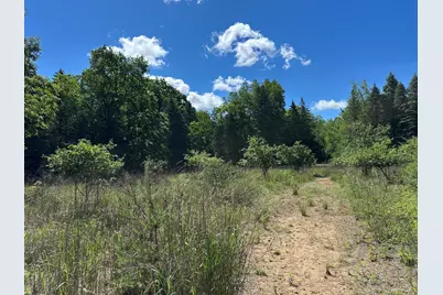 4485 S Miles Road, Sheridan, MI 48884 - Photo 56