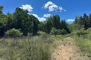4485 S Miles Rd, Sheridan, MI 48884 - Photo 56
