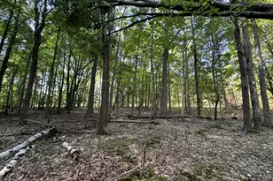 4485 S Miles Rd, Sheridan, MI 48884 - Photo 74