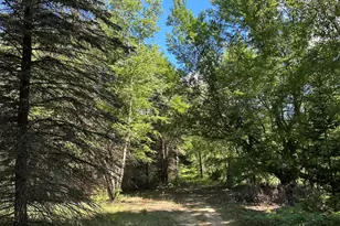 4485 S Miles Rd, Sheridan, MI 48884 - Photo 50