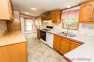 206 E 1st St, Stanton, MI 48888 - Photo 42