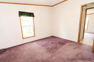 206 E 1st St, Stanton, MI 48888 - Photo 26
