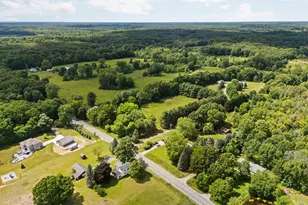 18250 Bush Rd, Chelsea, MI 48118 - Photo 48