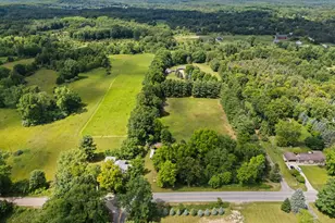 18250 Bush Rd, Chelsea, MI 48118 - Photo 46
