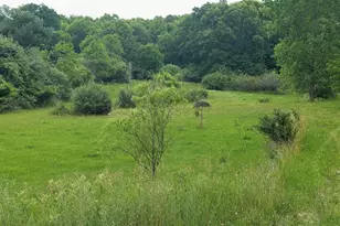 9681 SW Greenville Rd, Greenville, MI 48838 - Photo 1
