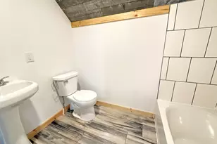 91 Dickerson View SW, Stanton, MI 48888 - Photo 22