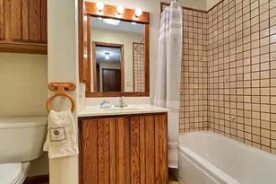 311 E Lake Mitchell Dr, Cadillac, MI 49601 - Photo 52