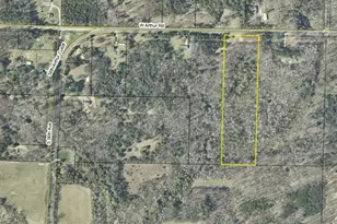 10 Acres W Arthur Rd, New Era, MI 49446 - Photo 1