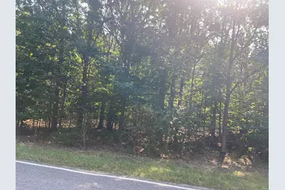 10 Acres W Arthur Road, New Era, MI 49446 - Photo 4