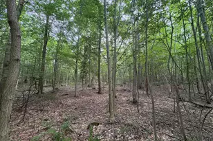 109th Ave, Pullman, MI 49450 - Photo 1