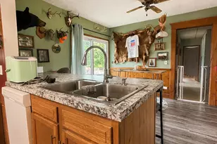 10137 N Shaytown Rd, Mulliken, MI 48861 - Photo 22
