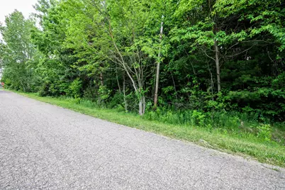 Vl Black River Rd, Bangor, MI 49013 - Photo 42