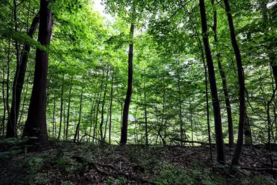 Vl Black River Rd, Bangor, MI 49013 - Photo 14