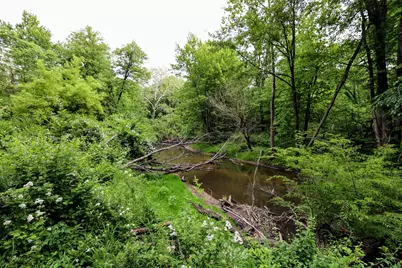 Vl Black River Rd, Bangor, MI 49013 - Photo 6