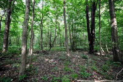 Vl Black River Rd, Bangor, MI 49013 - Photo 52