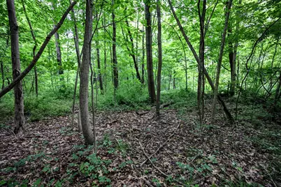 Vl Black River Rd, Bangor, MI 49013 - Photo 26