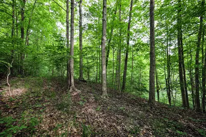 Vl Black River Rd, Bangor, MI 49013 - Photo 40
