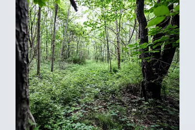 Vl Black River Rd, Bangor, MI 49013 - Photo 18