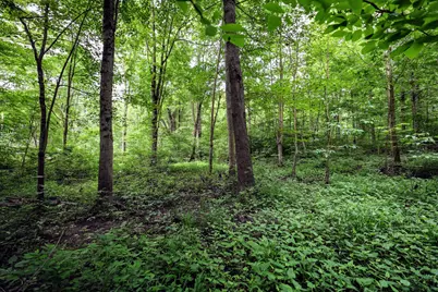 Vl Black River Rd, Bangor, MI 49013 - Photo 36