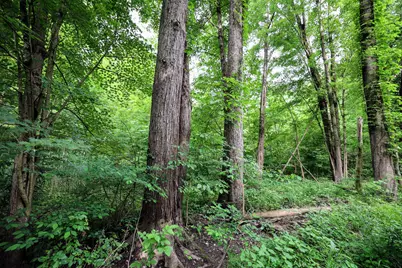 Vl Black River Rd, Bangor, MI 49013 - Photo 38