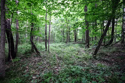 Vl Black River Rd, Bangor, MI 49013 - Photo 50