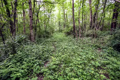 Vl Black River Rd, Bangor, MI 49013 - Photo 20
