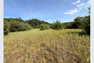 52 W Johnson Road, Shelby, MI 49455 - Photo 24