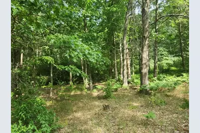 7359 S Riverbend Road, Branch, MI 49402 - Photo 8