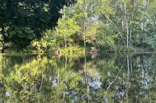 5499 W McBride Rd, Lakeview, MI 48850 - Photo 22