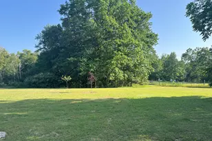 5499 W McBride Rd, Lakeview, MI 48850 - Photo 18
