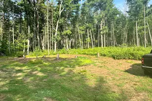 8338 E Wilderness Trail, White Cloud, MI 49349 - Photo 12