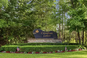 8510 125th Ave, Canadian Lakes, MI 49346 - Photo 48