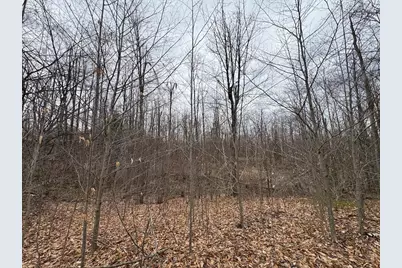 1734 N Galbraith Road, Mio, MI 48647 - Photo 54