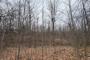 1734 N Galbraith Rd, Mio, MI 48647 - Photo 54
