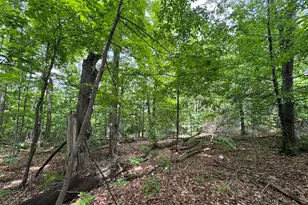 1734 N Galbraith Rd, Mio, MI 48647 - Photo 30