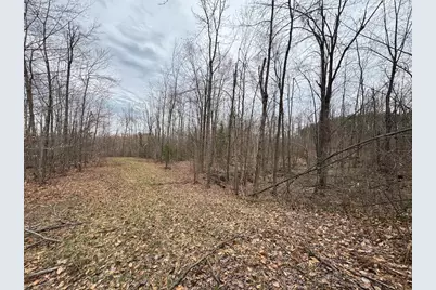 1734 N Galbraith Road, Mio, MI 48647 - Photo 68