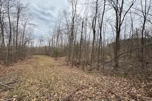 1734 N Galbraith Rd, Mio, MI 48647 - Photo 68