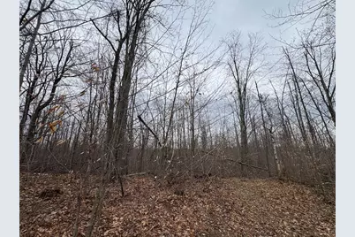 1734 N Galbraith Road, Mio, MI 48647 - Photo 52