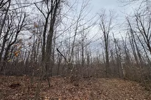 1734 N Galbraith Rd, Mio, MI 48647 - Photo 52