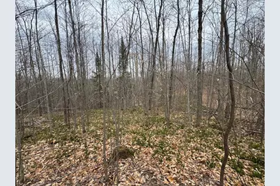 1734 N Galbraith Road, Mio, MI 48647 - Photo 58
