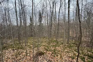 1734 N Galbraith Rd, Mio, MI 48647 - Photo 58