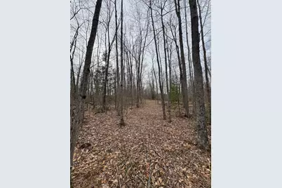 1734 N Galbraith Road, Mio, MI 48647 - Photo 62