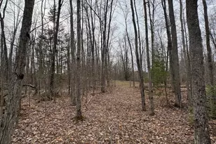 1734 N Galbraith Rd, Mio, MI 48647 - Photo 62