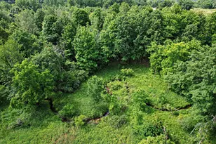 9411 Evart Rd, Nashville, MI 49073 - Photo 34