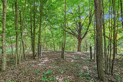 V/L 56th Avenue, Paw Paw, MI 49079 - Photo 4