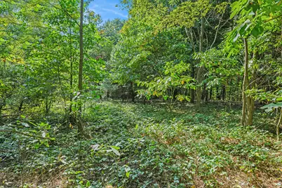 V/L 56th Avenue, Paw Paw, MI 49079 - Photo 6