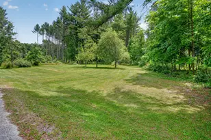 10041 Birch Dr, Riverdale, MI 48877 - Photo 44