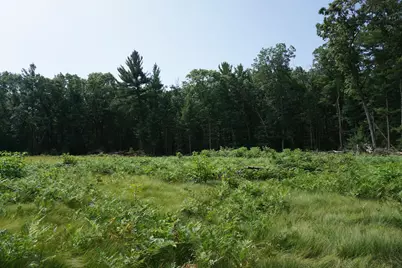 2287 W White Lake Drive, Whitehall, MI 49461 - Photo 12