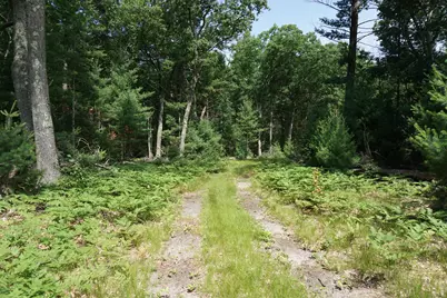 2287 W White Lake Drive, Whitehall, MI 49461 - Photo 2