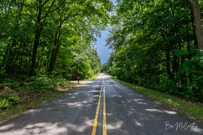 V/L Spruce Ridge Road, Bear Lake, MI 49614 - Photo 18